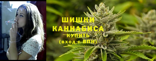 крисы Железногорск-Илимский